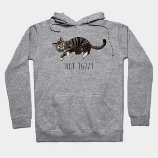 Lazy Tabby Hoodie